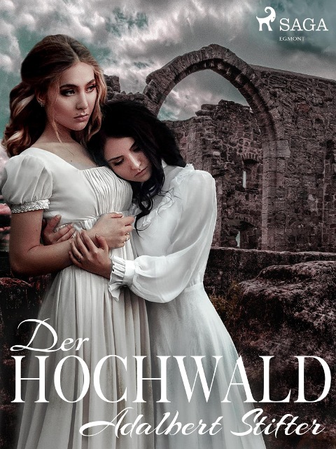Der Hochwald - Adalbert Stifter