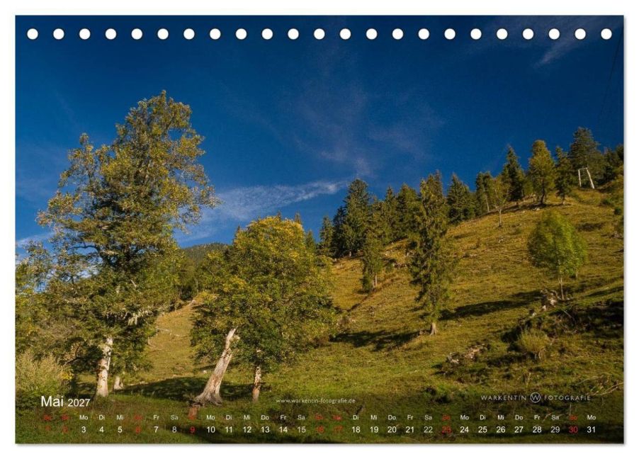 InsideView 10