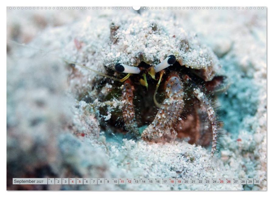InsideView 14