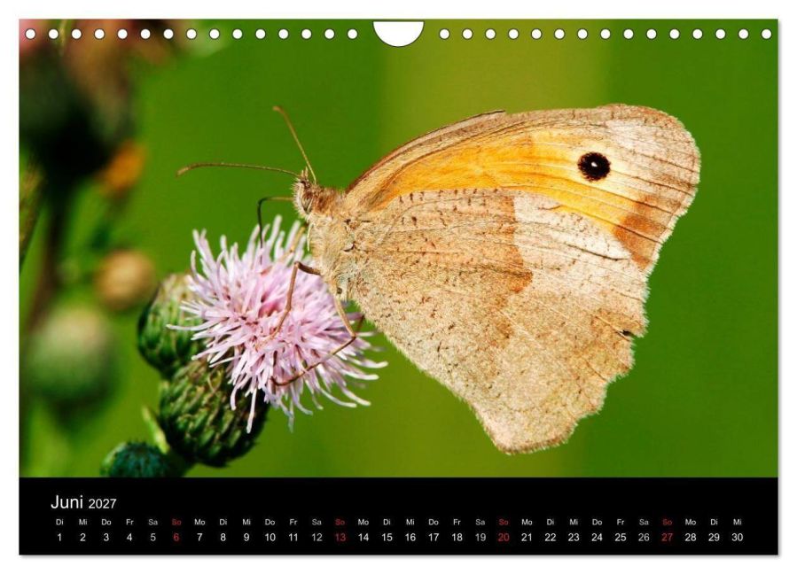 InsideView 11