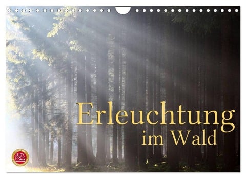 Erleuchtung im Wald (Wandkalender 2025 DIN A4 quer), CALVENDO Monatskalender - Martina Cross