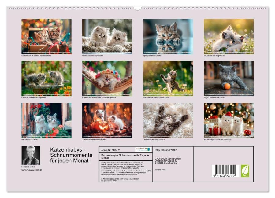 InsideView 4