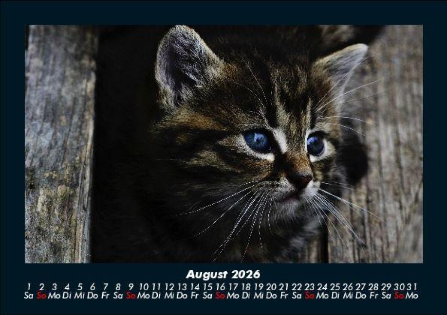InsideView 12