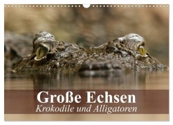Cover-Bild zum Titel 'Große Echsen. Krokodile und Alligatoren (Wandkalender 2026 DIN A3 quer), CALVENDO Monatskalender' von 'Elisabeth Stanzer'