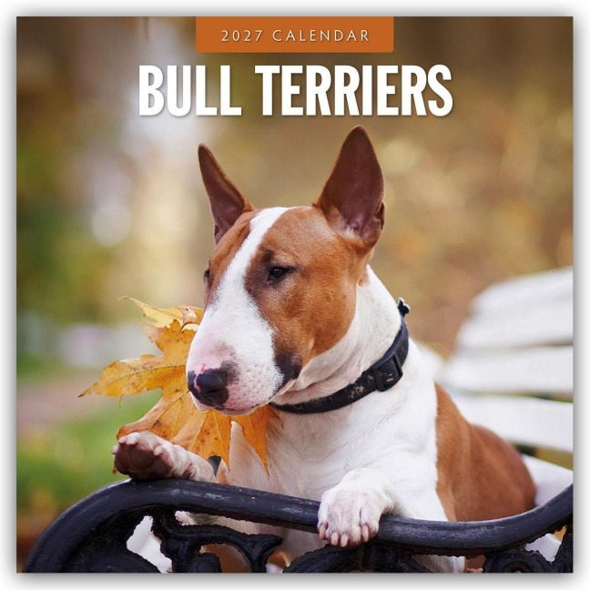 Bull Terriers - Bullterrier 2027 - 16-Monatskalender - Robin Red