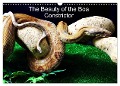 The Beauty of the Boa Constrictors (Wall Calendar 2024 DIN A3 landscape), CALVENDO 12 Month Wall Calendar - John Horton