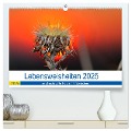 Lebensweisheiten 2025 (hochwertiger Premium Wandkalender 2025 DIN A2 quer), Kunstdruck in Hochglanz - Michis Fotogalerie