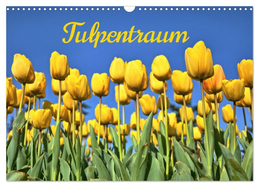 Tulpentraum (Wandkalender 2026 DIN A3 quer), CALVENDO Monatskalender - (C) By Insideportugal