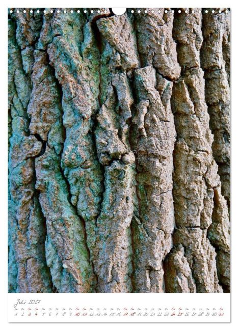 InsideView 12