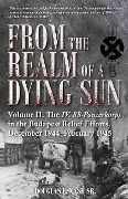 Cover-Bild zum Titel 'From the Realm of a Dying Sun' von 'Douglas E Nash'