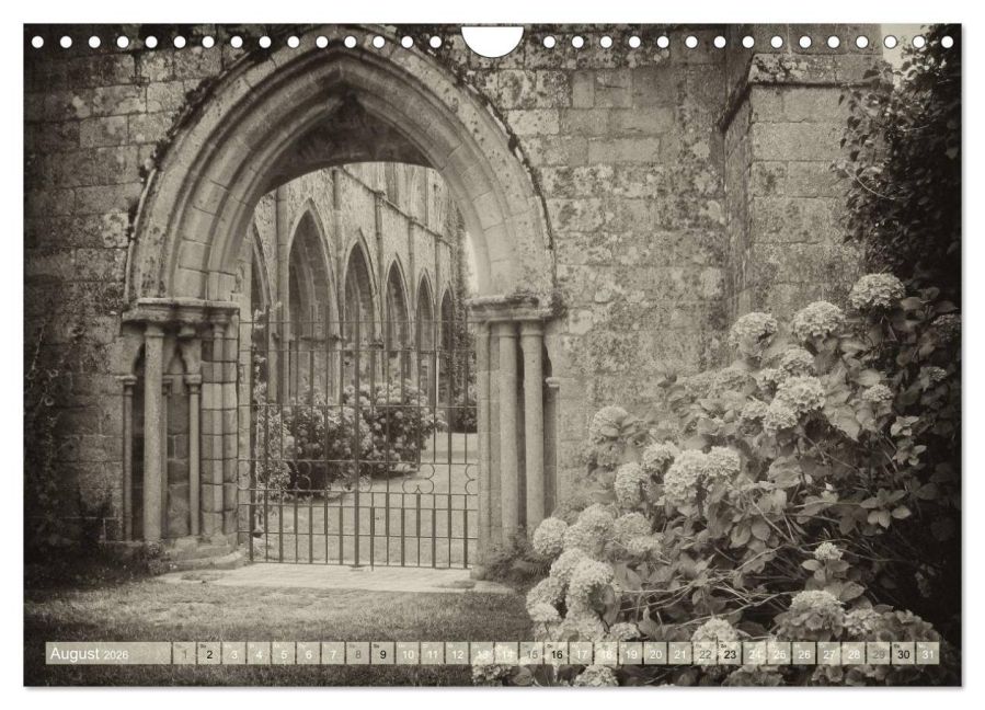 InsideView 13