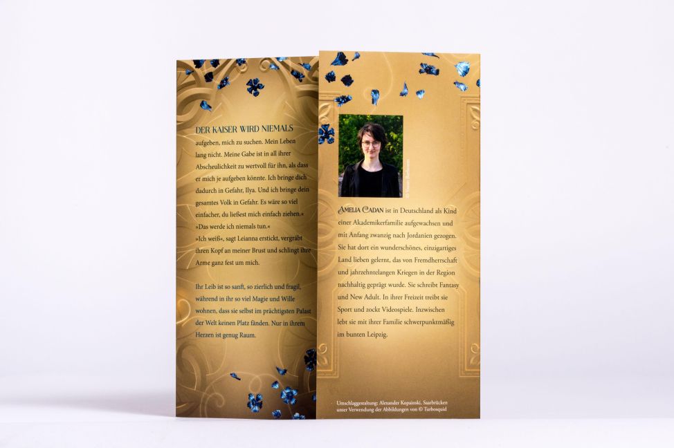 InsideView 6