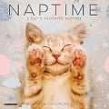 Naptime (Cats) 2024 7 X 7 Mini Wall Calendar - Willow Creek Press