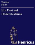 Cover-Bild zum Titel 'Ein Fest auf Haderslevhuus' von 'Theodor Storm'