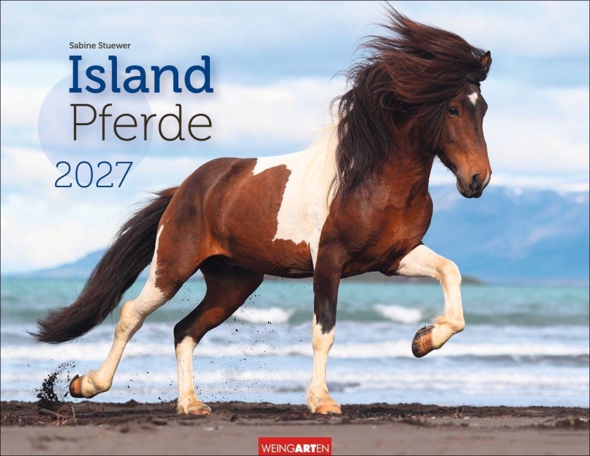 Islandpferde Kalender 2027 - 