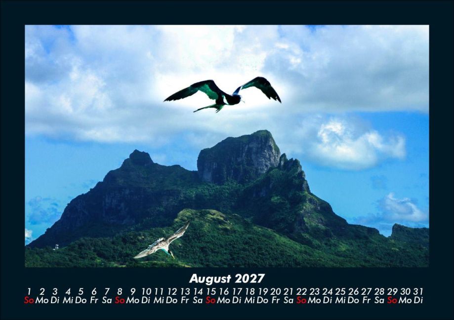 InsideView 12