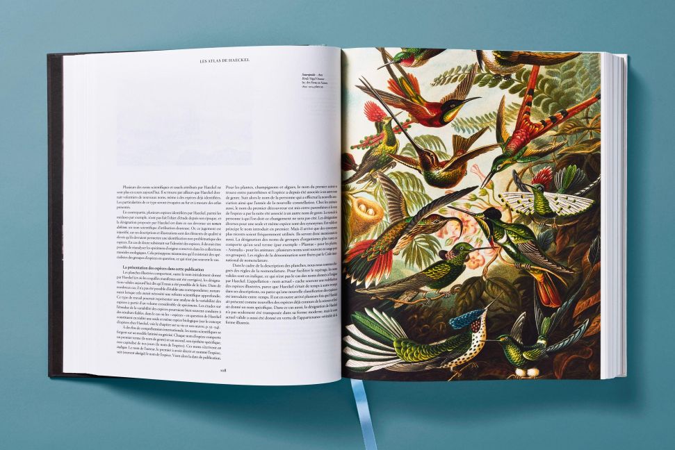 InsideView 10