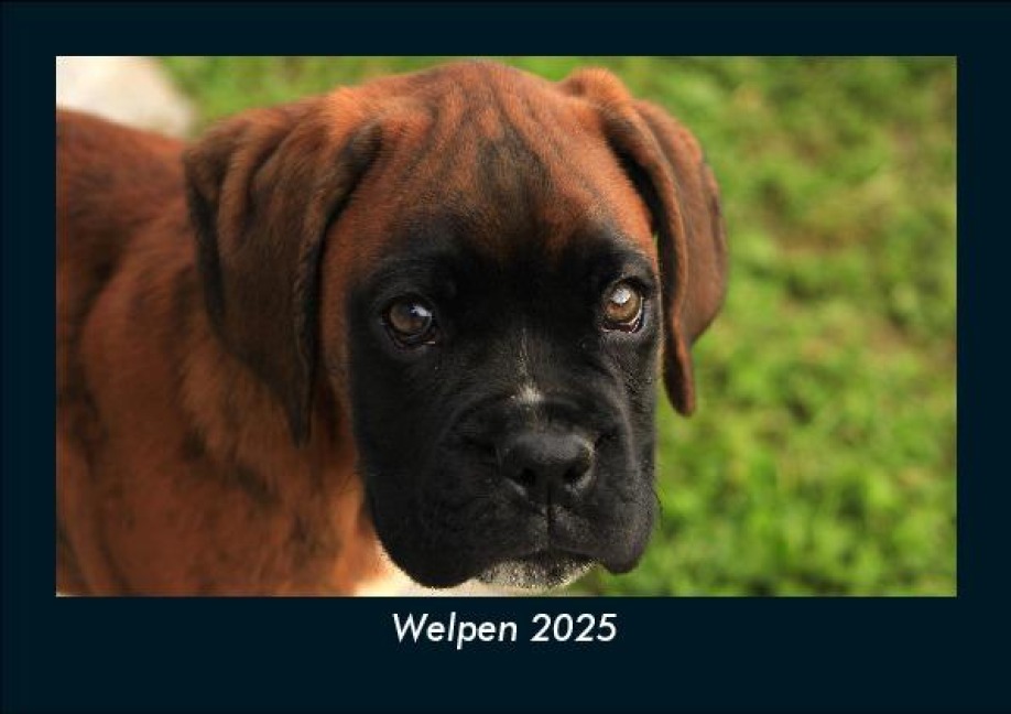 Welpen 2025 Fotokalender DIN A5 - Tobias Becker