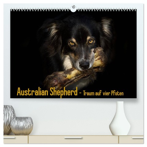 Australian Shepherd - Traum auf vier Pfoten (hochwertiger Premium Wandkalender 2025 DIN A2 quer), Kunstdruck in Hochglanz - Andrea Mayer Tierfotografie