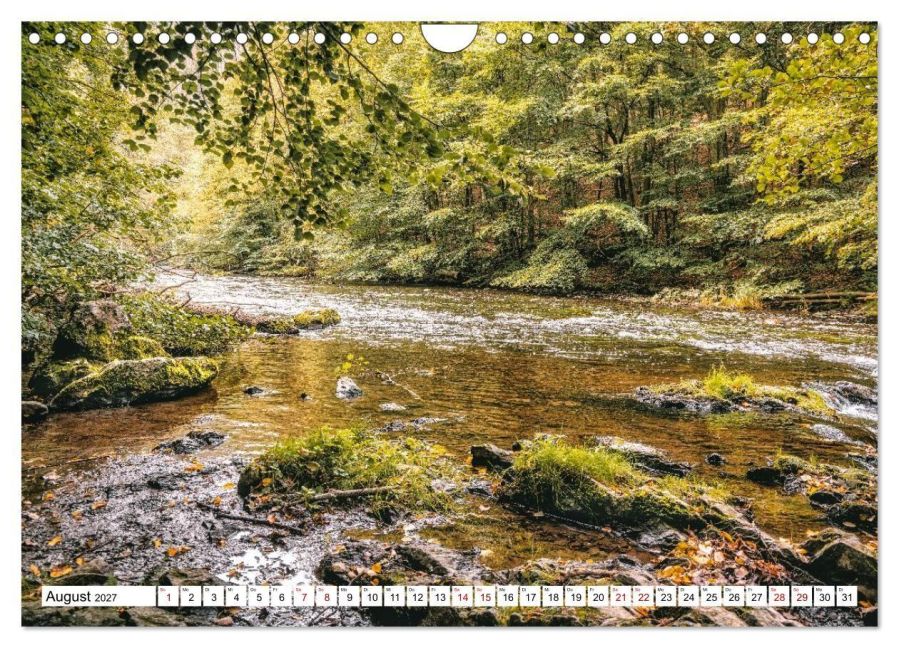 InsideView 13