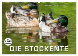 Cover-Bild zum Titel 'Emotionale Momente: Die Stockente. (Wandkalender 2026 DIN A2 quer), CALVENDO Monatskalender' von 'Ingo Gerlach'