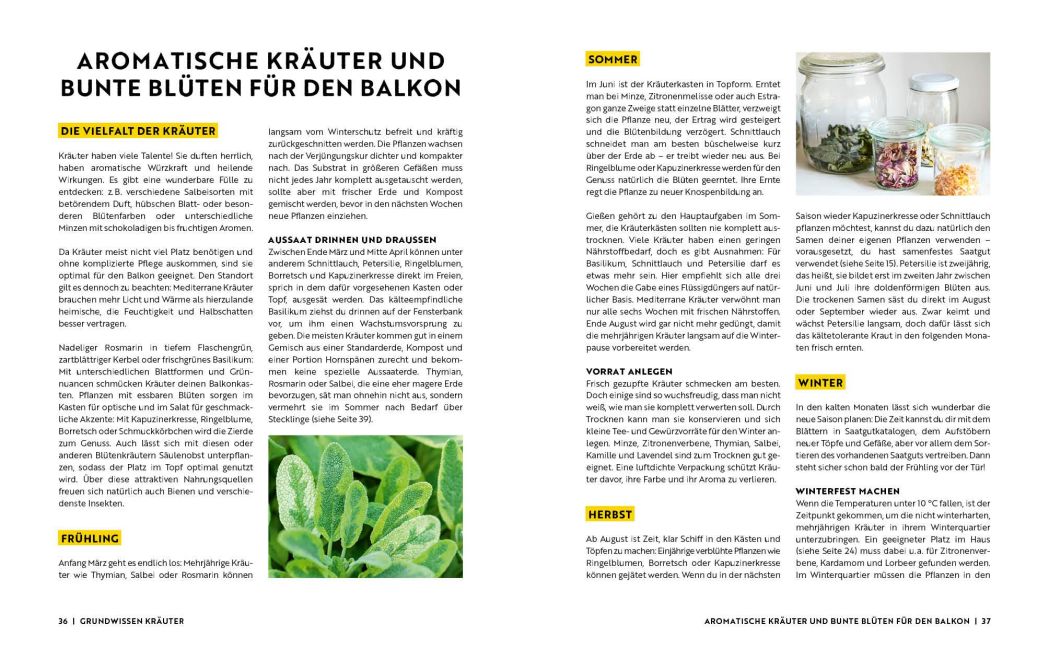 InsideView 6