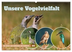 Unsere Vogelvielfalt: Ein Schatz zum Entdecken und Schützen (Wandkalender 2025 DIN A2 quer), CALVENDO Monatskalender - Arne Wünsche