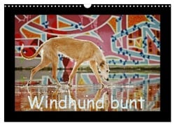 Windhund bunt (Wandkalender 2026 DIN A3 quer), CALVENDO Monatskalender - Kathrin Köntopp