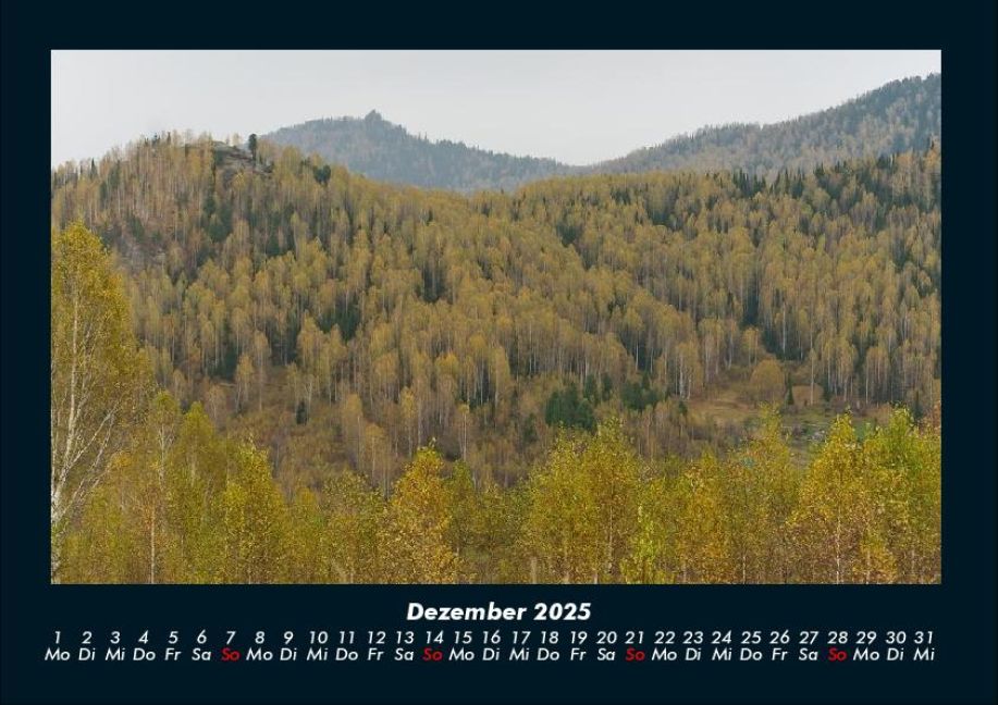 InsideView 4