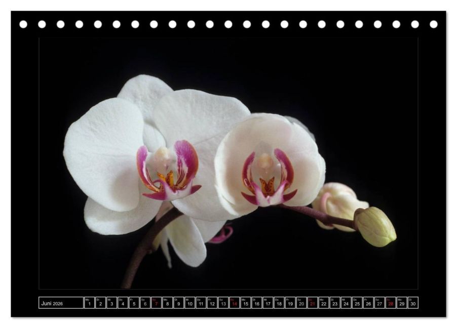 InsideView 11
