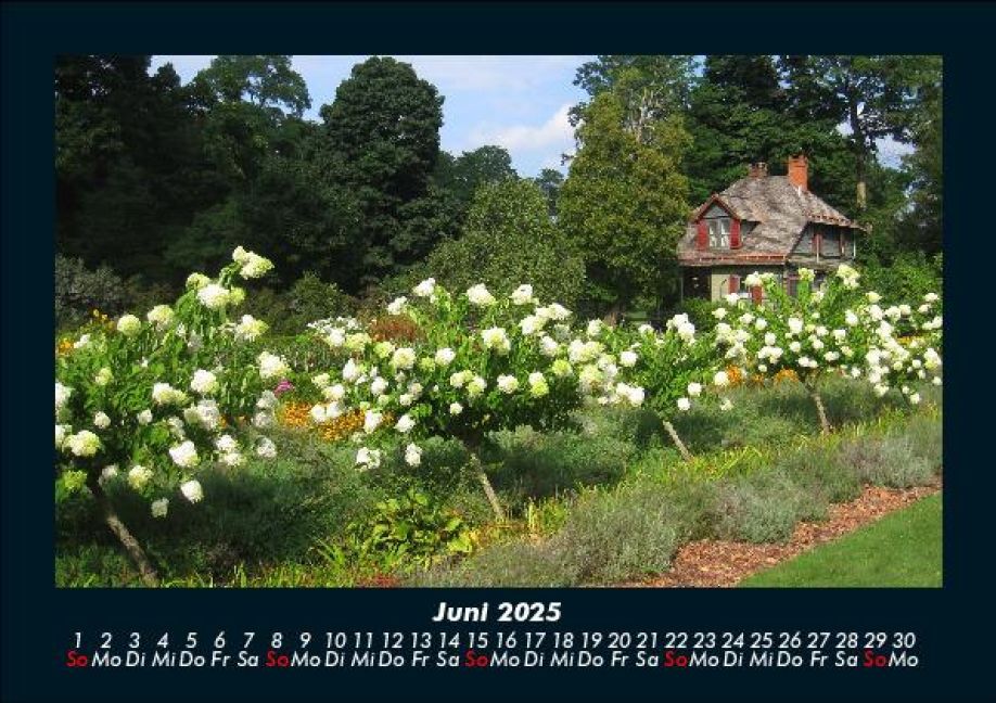 InsideView 10