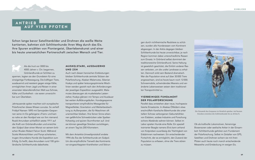 InsideView 8