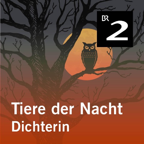 Tiere der Nacht: Dichterin - Silke Wolfrum