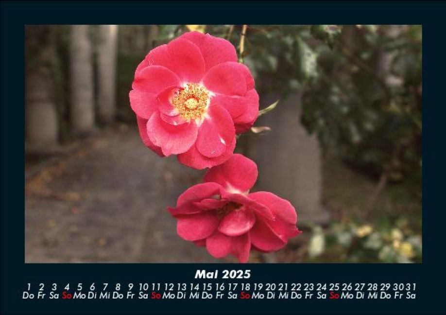 InsideView 9