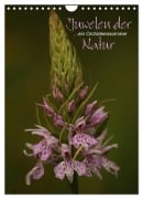 Cover-Bild zum Titel 'Juwelen der Natur - Ein Orchideensommer (Wandkalender 2026 DIN A4 hoch), CALVENDO Monatskalender' von 'Dirk Stamm'