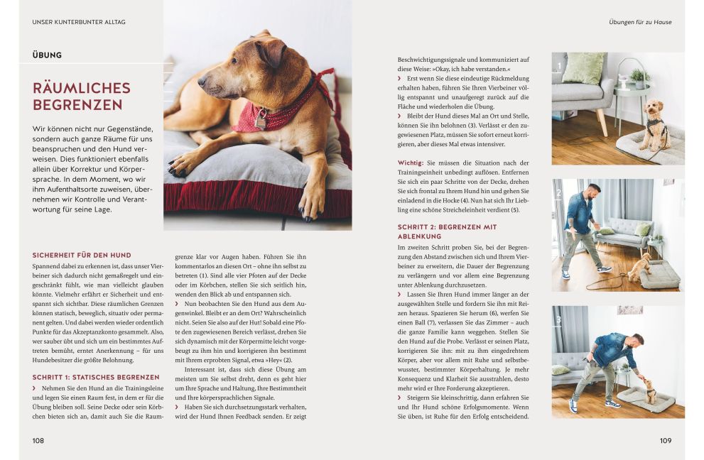 InsideView 7