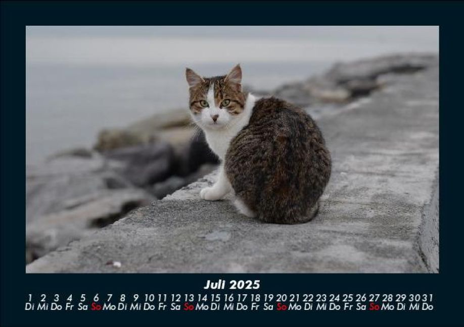 InsideView 11