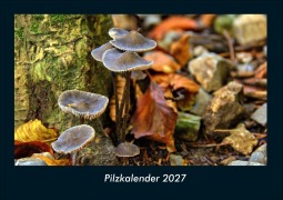 Cover-Bild zum Titel 'Pilzkalender 2027 Fotokalender DIN A4' von 'Tobias Schmitt, Kevin Heber'