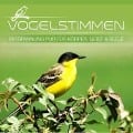 Cover-Bild zum Titel 'Meeresrauschen-Entspannung f' von 'Various'