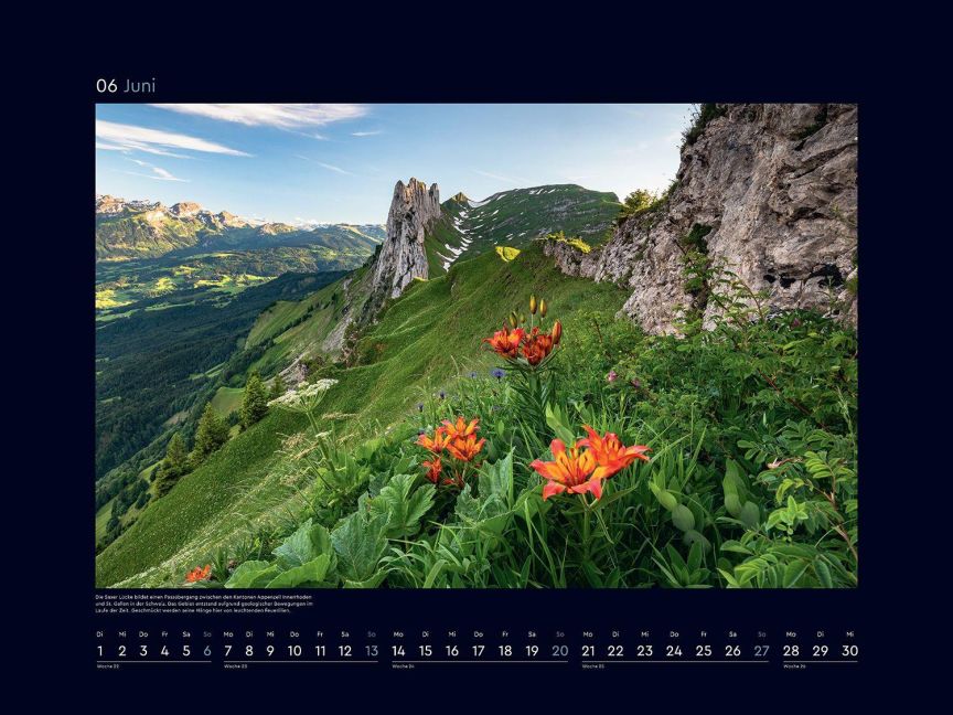 InsideView 4