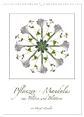 Pflanzen - Mandalas aus Blüten und Blättern (Wandkalender 2025 DIN A3 hoch), CALVENDO Monatskalender - Margit Quendler