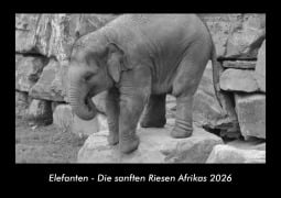 Cover-Bild zum Titel 'Elefanten - Die sanften Riesen Afrikas 2026 Fotokalender DIN A3' von 'Tobias Becker'