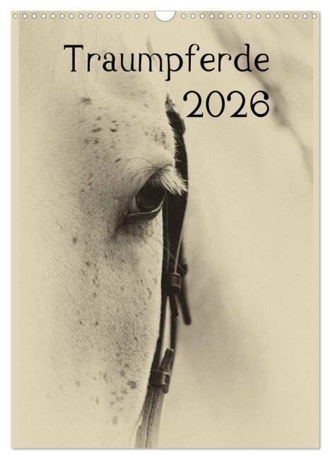 Traumpferde 2026 (Wandkalender 2026 DIN A3 hoch), CALVENDO Monatskalender - Vdp-Fotokunst. de Vdp-Fotokunst. de