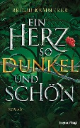 Ein Herz so dunkel und schön - Brigid Kemmerer