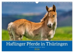 Cover-Bild zum Titel 'Haflinger Pferde in Thüringen (Wandkalender 2026 DIN A3 quer), CALVENDO Monatskalender' von 'Torsten Irmer'