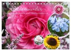 Cover-Bild zum Titel 'Blütenwunder - Mit Blumen durchs ganze Gartenjahr (Tischkalender 2026 DIN A5 quer), CALVENDO Monatskalender' von 'Gisela Kruse'