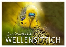 Cover-Bild zum Titel 'Wunderschöner Wellensittich (Wandkalender 2026 DIN A2 quer), CALVENDO Monatskalender' von 'Peter Roder'