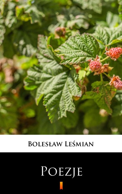 Poezje - Boleslaw Lesmian