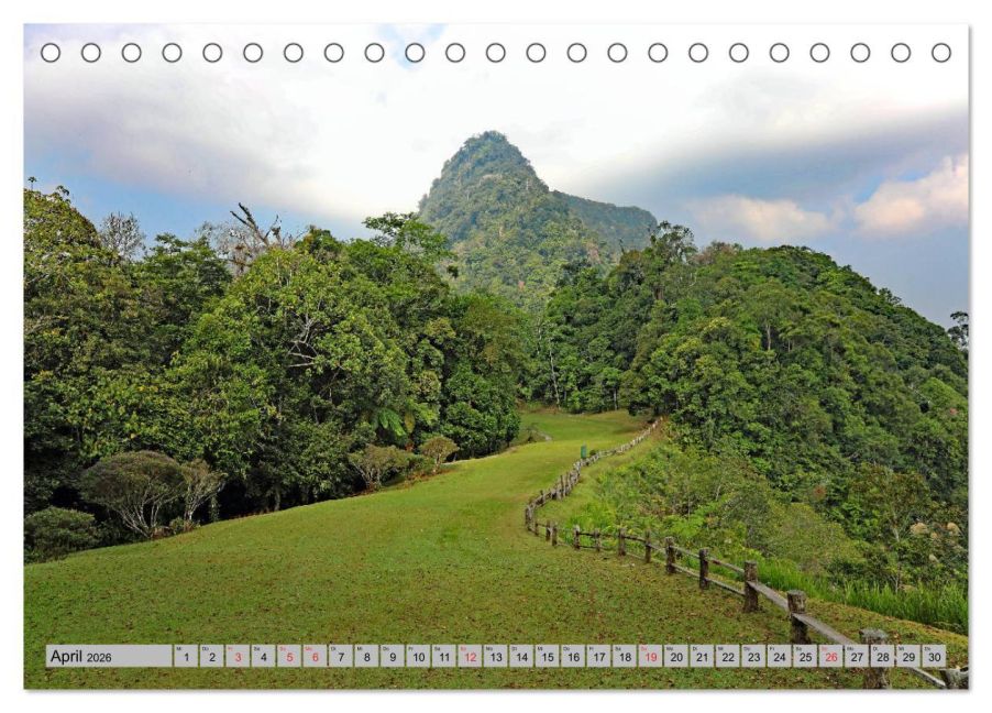 InsideView 9