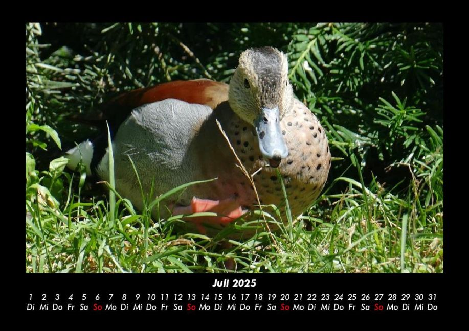 InsideView 11